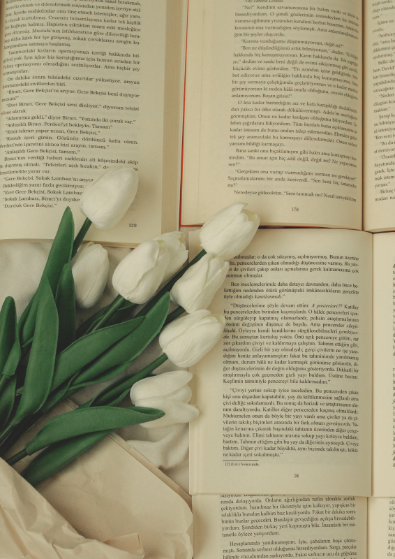 bukiet białych tulipanów położony na otwartych książkach